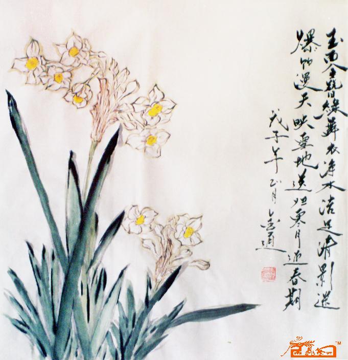 花鸟12